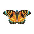 thumbnail image 1 of X Kites Nylon Butterfly Kite 34 Inches Wide Ready to Fly - Opal, 1 of 1