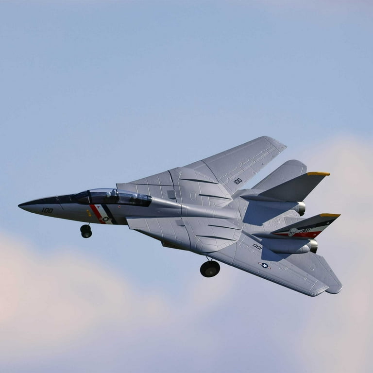 E-flite F-14 Tomcat Twin 40mm EDF Jet Model Plane, BNF Basic