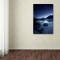 thumbnail image 3 of Trademark Fine Art 'Moonlight' Canvas Art by Yan Zhang, 3 of 3