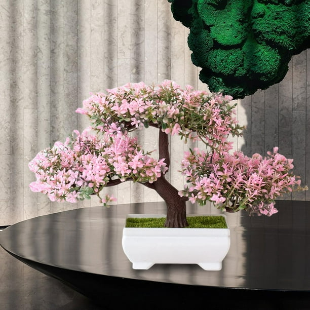 rbol de bonsi artificial Planta en con de plstico Interior pa oficina  Escritorio Estante de libro Acuario Macarena bonsi falso