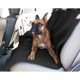 thumbnail image 1 of Funda impermeable universal negra para asiento trasero de Majestic Pet Products, 1 of 1