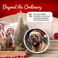 thumbnail image 5 of English Mastiff Dog Ornament - Pet Ornament for Christmas Tree - 3" Round Ceramic - Printed in USA - Puppy New Dog - Dog Mom - Dog Dad - Pet Owner - Xmas Decoration DOG093, 5 of 5