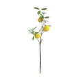 thumbnail image 2 of Artificial Lemon Tree Branch Bouquet | Realistic Faux Lemon Leaves and Fruit Decor | Spring Home Decor for Tabletop Vase Arrangements | 20.47 Inch Artificial Greenery for Centerpiece and Wed, 2 of 6