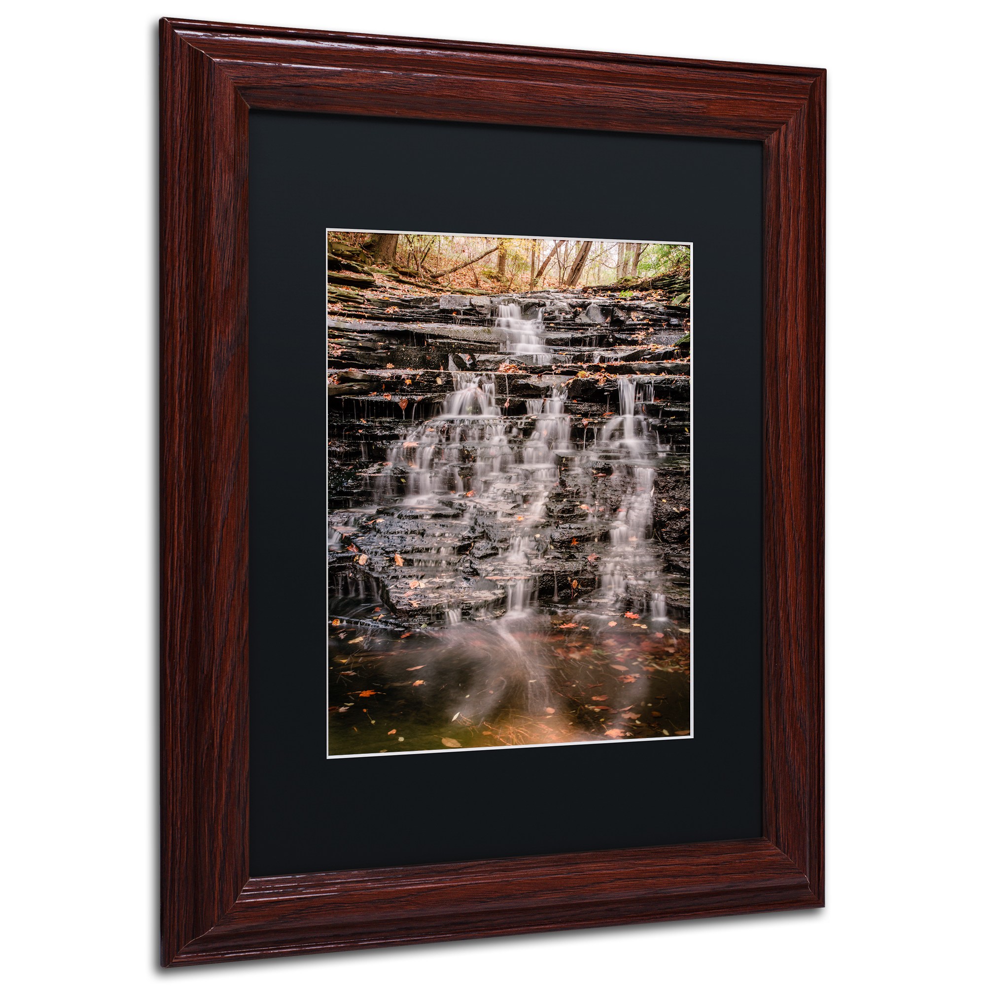 Trademark Fine Art "Hidden Falls" Canvas Art by Jason Shaffer, Black Matte, Wood Frame