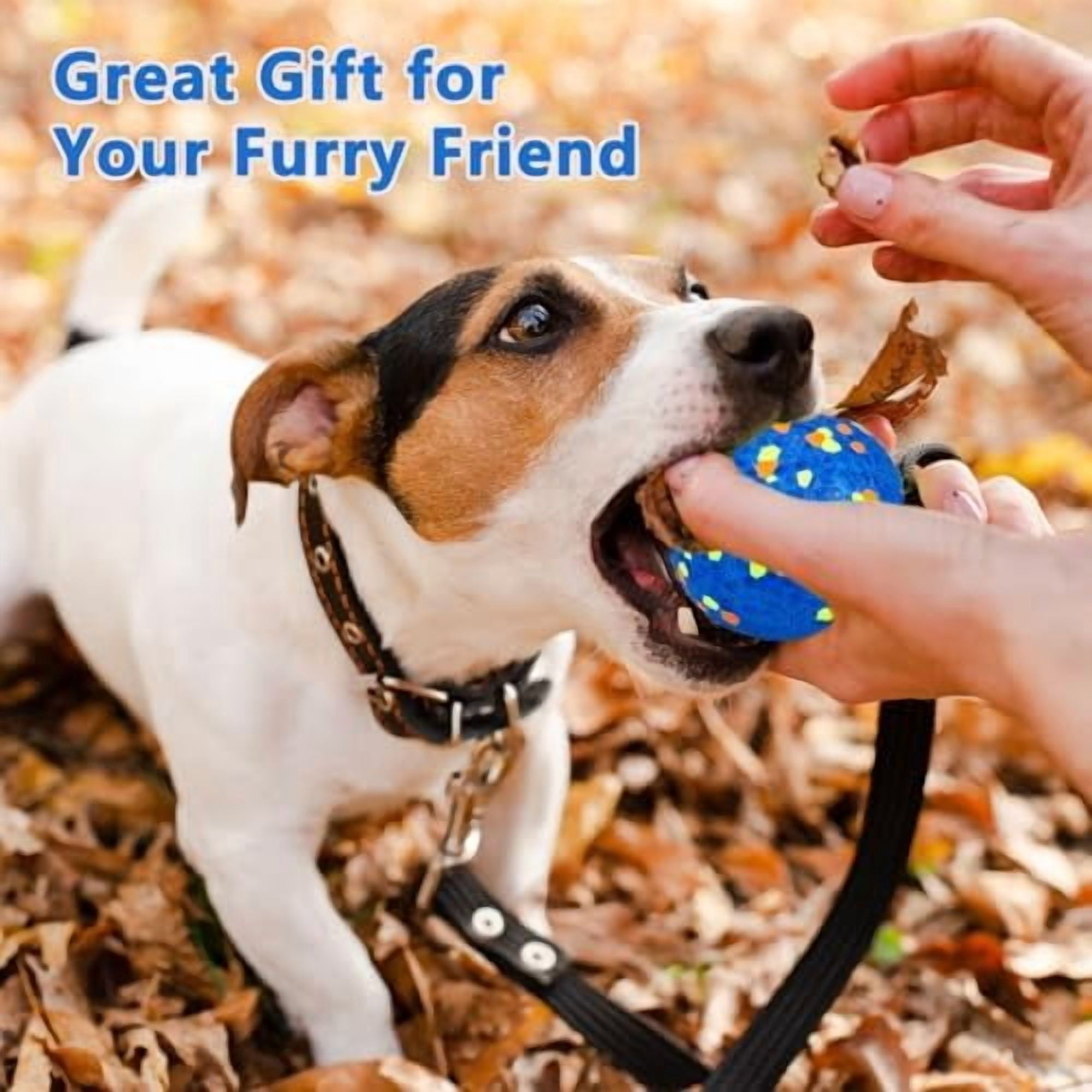 Dog Ball Toys Dog Tennis Ball for Aggressive Chewers Indestructible Bouncy Lightweight Water Toy Fetch Ball for Large Medium and Small Dog Blue & Yellow (2-Pack),Small (2.5" diameter)