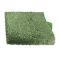 thumbnail image 5 of Monyance Crawl Pets Mat Reptile Carpet Terrarium Substrate Liner for Reptiles(15.75X9.84X0.2Inches), 5 of 11