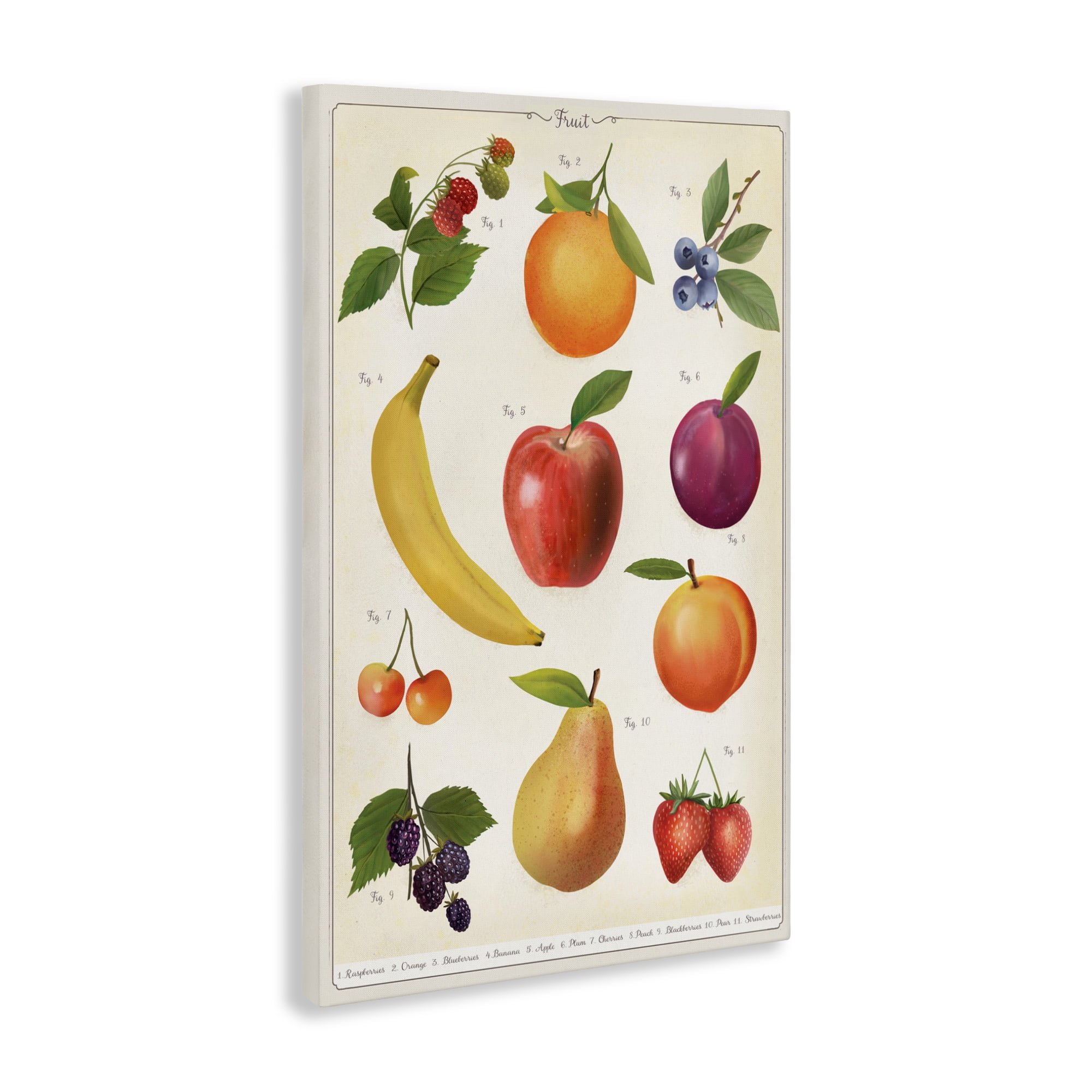 Stupell Industries Fruit Collection Studies Canvas Wall Art, design by Diane Neukirch