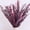 Red,20PCS, variant on 20Pcs Dried Eucalyptus Bundle, Dried Plant for Eucalyptus for Shower -17 in Real Natural Preserved Eucalyptus Stems for Flower Arrangement Fall Home Decor,Red