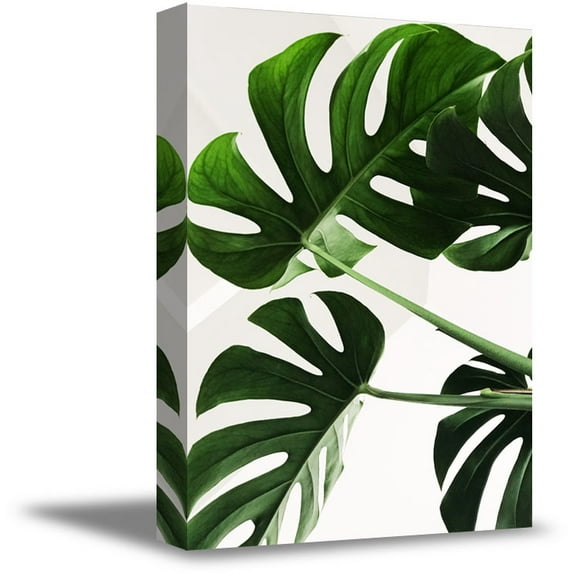 Awkward Styles Foliage Canvas Green Grass Vintage Art Beautiful Nature Art Home Decor Ideas Natural Canvas Art Plants Canvas Decor for Kitchen Inspirational Plants Prints Inspirational Vinyl Art