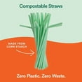 ECO SOUL 100 Compostable Straws [100 Count] [8.25"] EcoFriendly