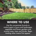 thumbnail image 6 of Spectracide Triazicide Insect Killer for Lawns, Ready-to-Spray Concentrate, 32 Ounces, 6 of 12