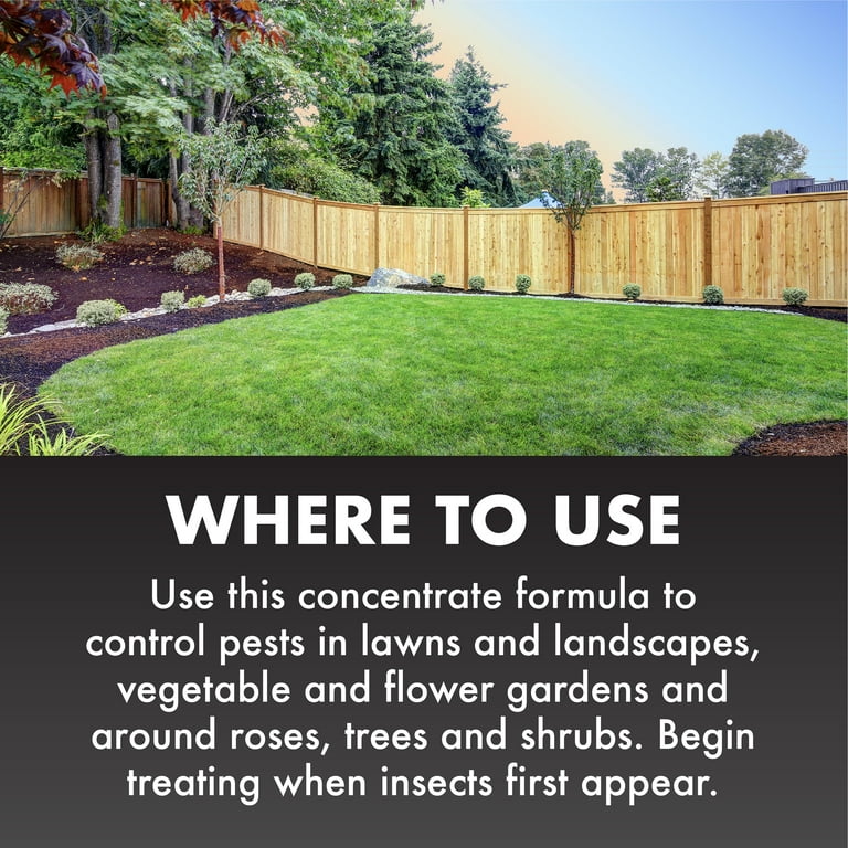 Spectracide Triazicide Insect Killer for Lawns, 32 oz photo 5