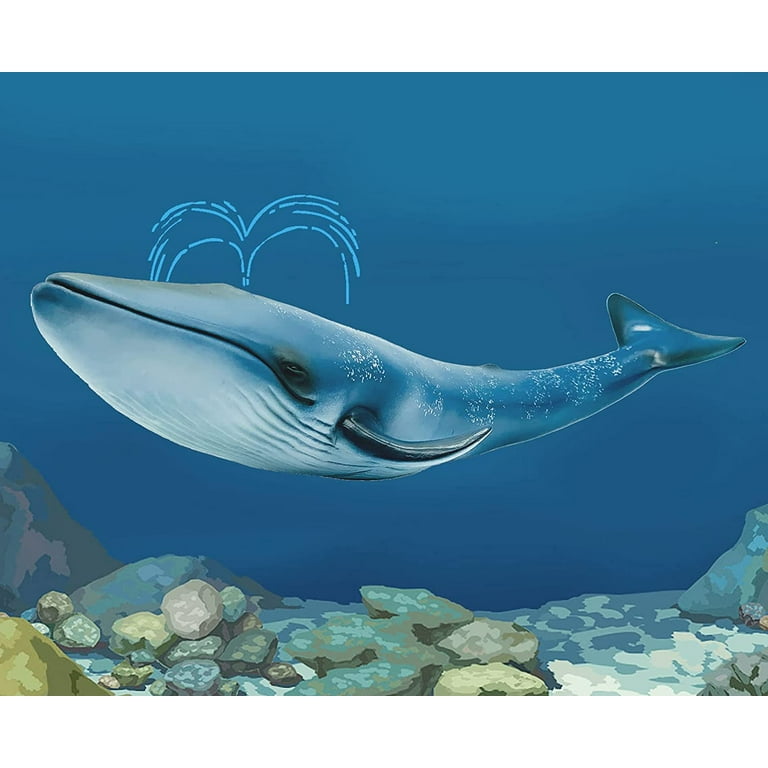 Blue Whale Pictures For Kids