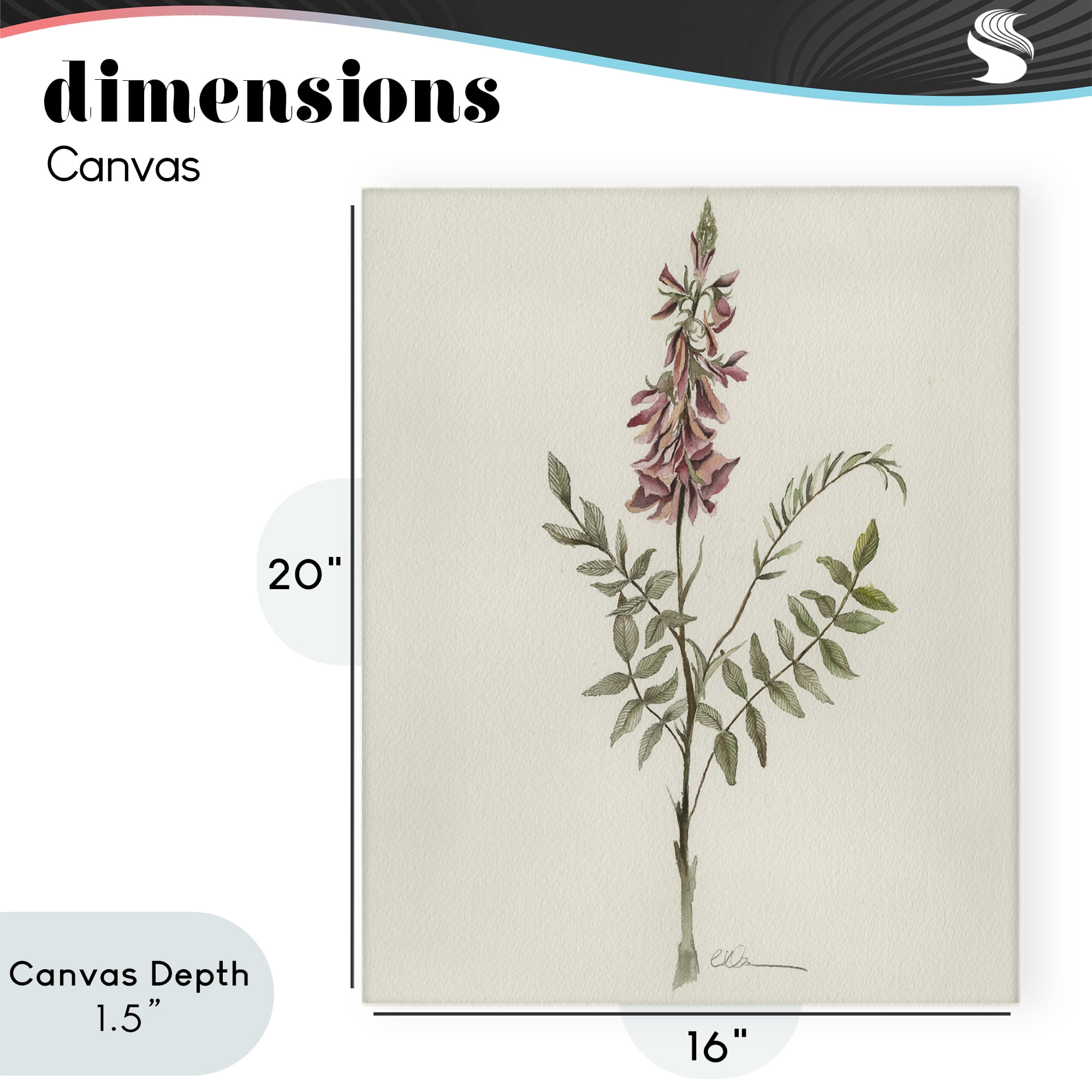 Stupell Industries Nature's Delicate Herb Sprig Canvas Wall Art, design by Cady Driver