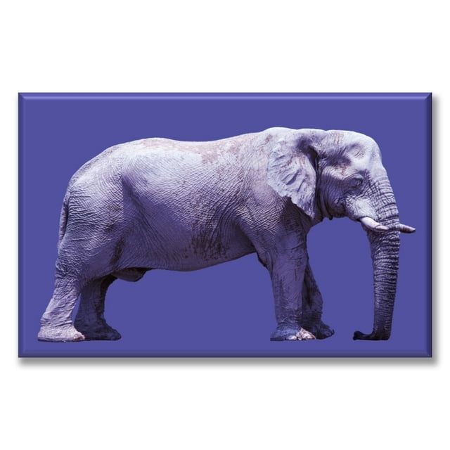 Cuadro Canva Pixtreats listo para Colgar tipo galería Elefante Morado 40X60 cm