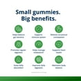 thumbnail image 3 of Metagenics - UltraFlora 3 in 1 Daily Probiotic Supplement to Support Gut and Immune Health for Adults and Children* - 60 Gummies, 3 of 8