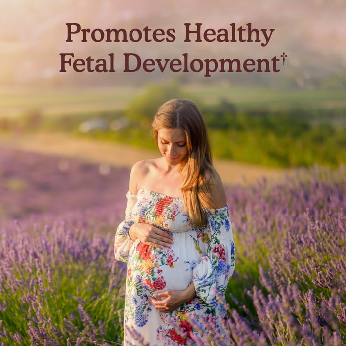 Garden of Life Organics Prenatal Multivitamin, with Folate and Vegan D3 - Once Daily for Pregnant & Lactating Women - 1 Month Supply