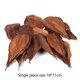 thumbnail image 3 of Hoja De Almendra 10 Uds. De hojas de almendras naturales para limpieza de peceras de acuario, hojas de Terminalia Catappa Tmvgtek Libre de BPA, 3 of 3