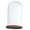 Brown F, variant on Decorative Glass Cloche Bell Jar Dome with Wooden Base Display Decor_Brown A