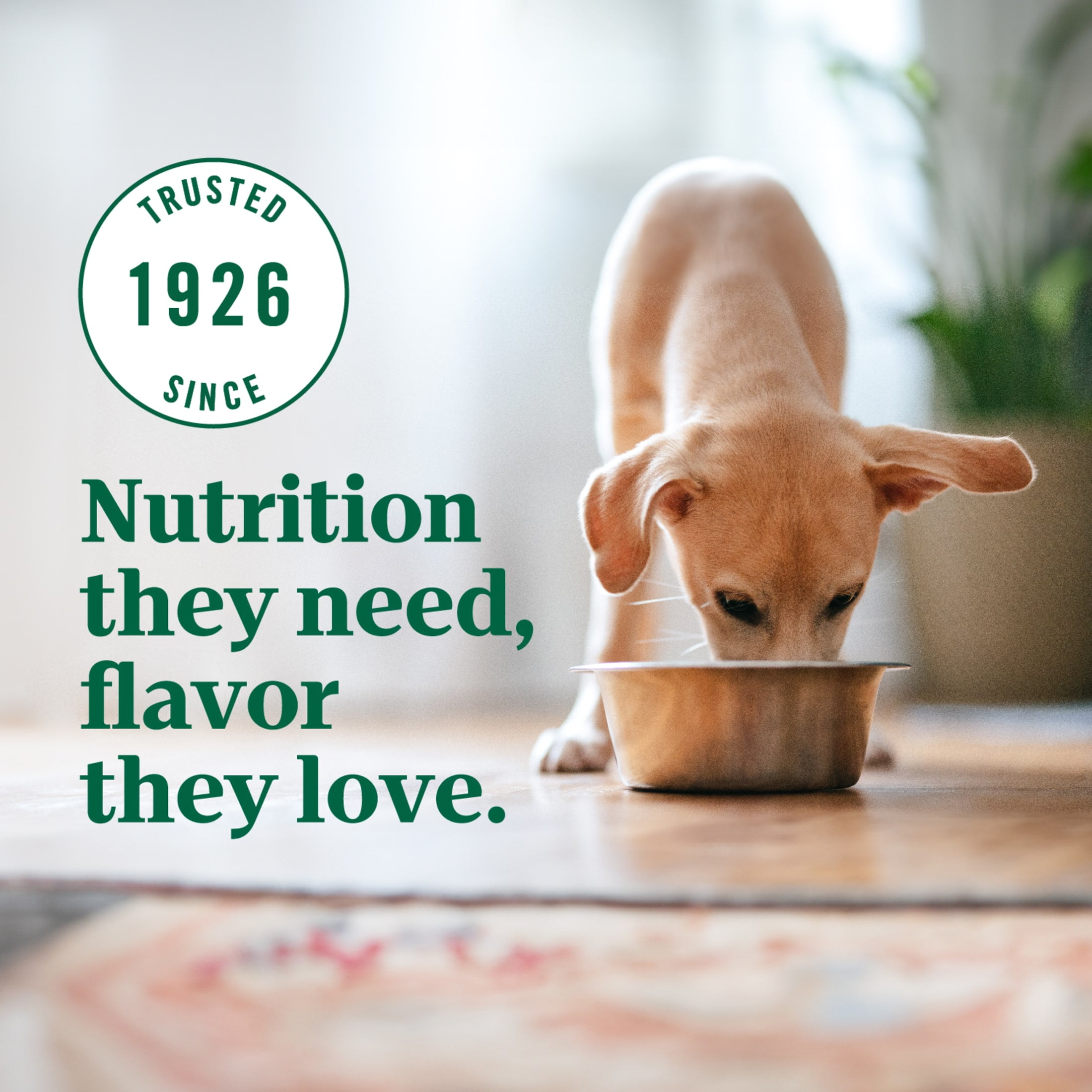 Nutro Ultra High Protein Dry Puppy Food, Trio of Proteins from Chicken, Lamb and Salmon, 12 lb Bag