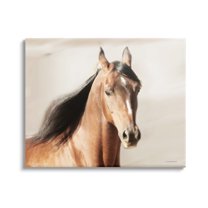 Stupell Industries Brown Stallion Portrait Animals & Insects Photography Gallery Wrapped Canvas Print Wall Art, 48 x 36
