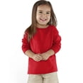 thumbnail image 1 of Camiseta de punto fino de manga larga para niños pequeños pieles de conejo RS3302, 1 of 1