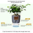 thumbnail image 2 of TOPRenddon Self Watering Plant Pots for Indoor Plants - Small Plastic Flower Pots with Wick System for Herbs, Succulents, African Violets - White & Gray, 2 of 9