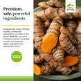 thumbnail image 5 of Terry Naturally Curamin - 21 Capsules (Travel Size) - Non-Addictive Pain Relief Supplement with Curcumin from Turmeric, Boswellia & DLPA - Non-GMO, Vegan, Gluten Free - 7 Servings, 5 of 7