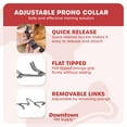 thumbnail image 3 of Downtown Pet Supply Prong Collar for Dogs Adjustable Dog Training Collar Black, M, 3 of 7