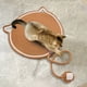 thumbnail image 1 of Xihbxyly Rascador Tejido para Mascotas, Juguete Interactivo con Resorte, Cuerda de Sisal, Protector de Muebles, Juego de Interior para Gatos, Divertido Tapete para Garras, 40 X 40 X 2 Cm, 1 of 7