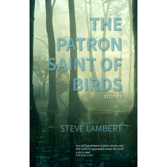The Patron Saint of Birds ( 2), (Paperback)