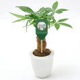 thumbnail image 2 of Mini Soil Moisture Meter Metal Probe Gardening Plant Flower Moisture Analyzer Moisture Meter Detection Tool, 2 of 6