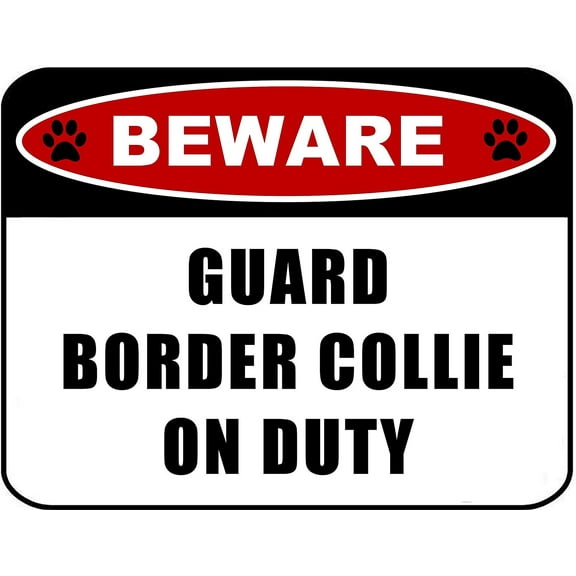 Beware Guard Border Collie on Duty ( v2) 11.5 inch x 9 inch Laminated Dog Sign
