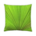 thumbnail image 2 of Ahgly Company Color Focus Green Coussin Décoratif d'Intérieur, 18 Po X 18 Po, 2 of 6
