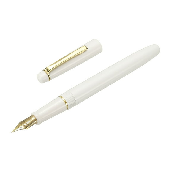 Uxcell Fountain Pen Medium Nib, Fountain Pen Barrel Handcrafted Pen for Professional Office Journaling Gifts, White