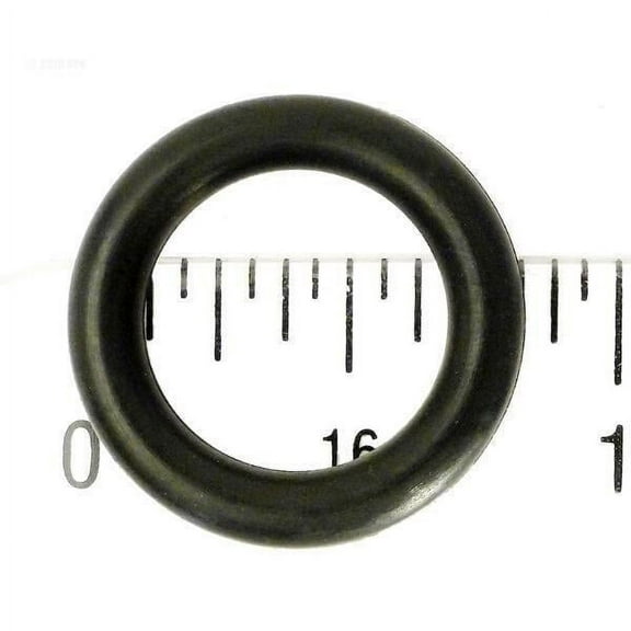 O-Ring, Clearwater Filter