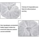 thumbnail image 3 of Funda De Almohada Desechable Para Cuna, Reemplazo Conveniente, Fundas Desechables Saludables Para Cuna Facial, Absorbentes Para Salón, 3 of 7