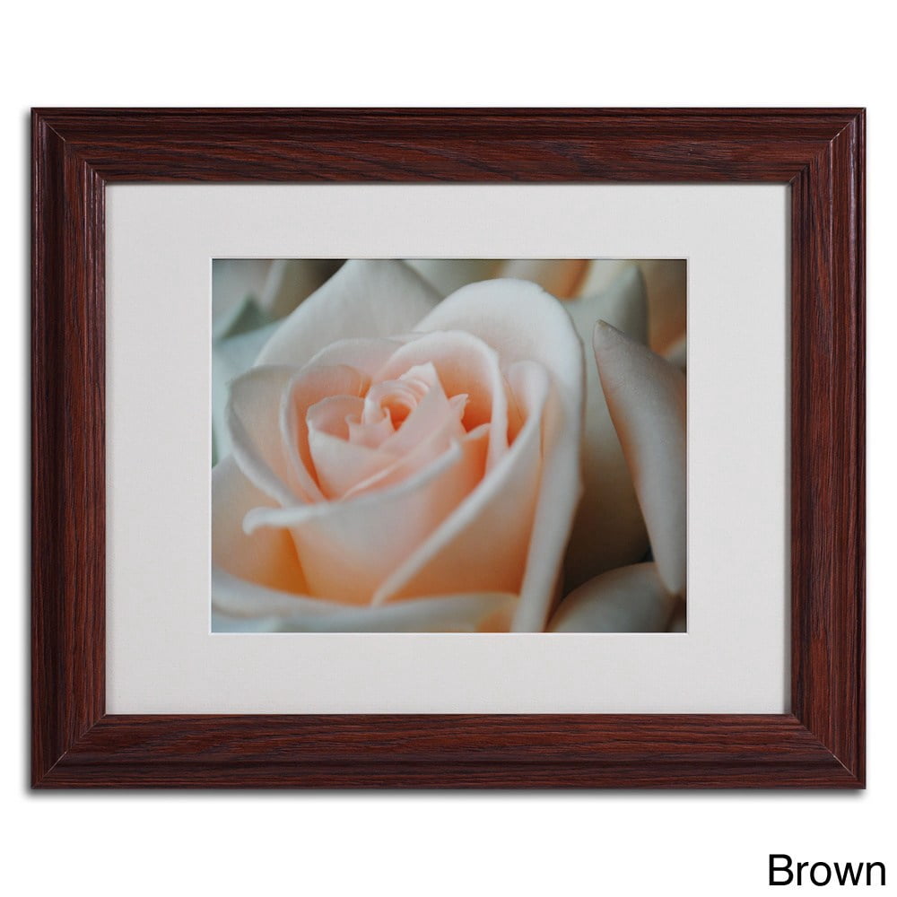 Trademark Fine Art "Perfezione" by Monica Fleet, Black Frame