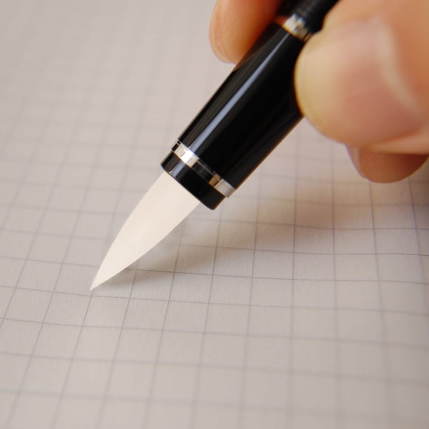 unbranded 20Ud Cabezas De Pincel De Esponja Para Caligrafía En Escritura Manual