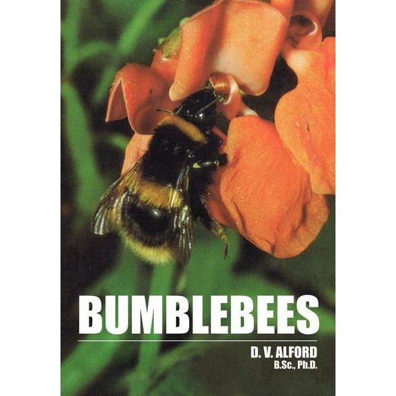 Bumble Bees (Paperback)