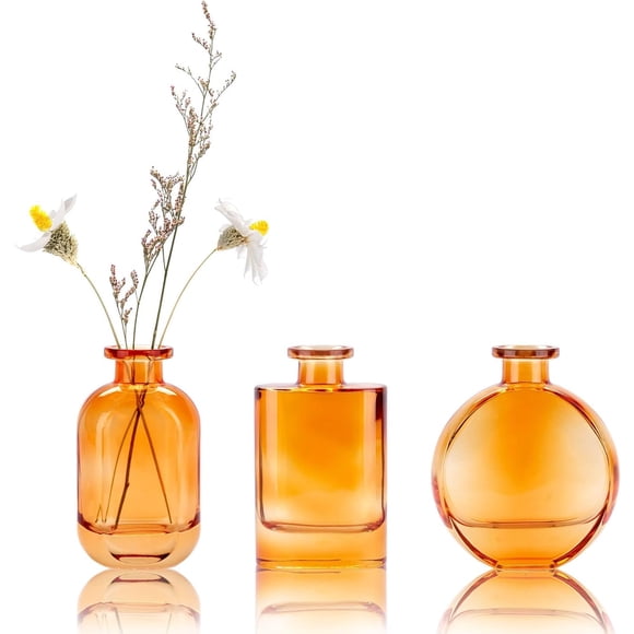 WHJY Amber Glass Vase Set of 3, Decorative Flower Vases for Centerpieces, Colored Bud Vases, Small Geometric Vases for Wedding, Home Décor