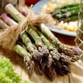 thumbnail image 1 of Asparagus - Jersey Giant (5 Bulbs), 1 of 2