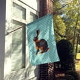 thumbnail image 2 of Carolines Treasures BB8137CHF Tan Rabbit Blue Check Canvas House Flag, 2 of 4