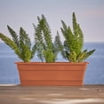 thumbnail image 2 of Bloem Dura Cotta Window Box Planter W/Tray 36 x 5.75 Plastic Rectangle Terracotta, 2 of 5