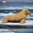 thumbnail image 4 of PuffPurrs Lifelike Walrus Plush Toy, Realistic Master of the Arctic Teddy Stuffed Animal, Cute Ocean Animal Unique Pillow Toy Gift, 30CM/11 Inch, 4 of 5