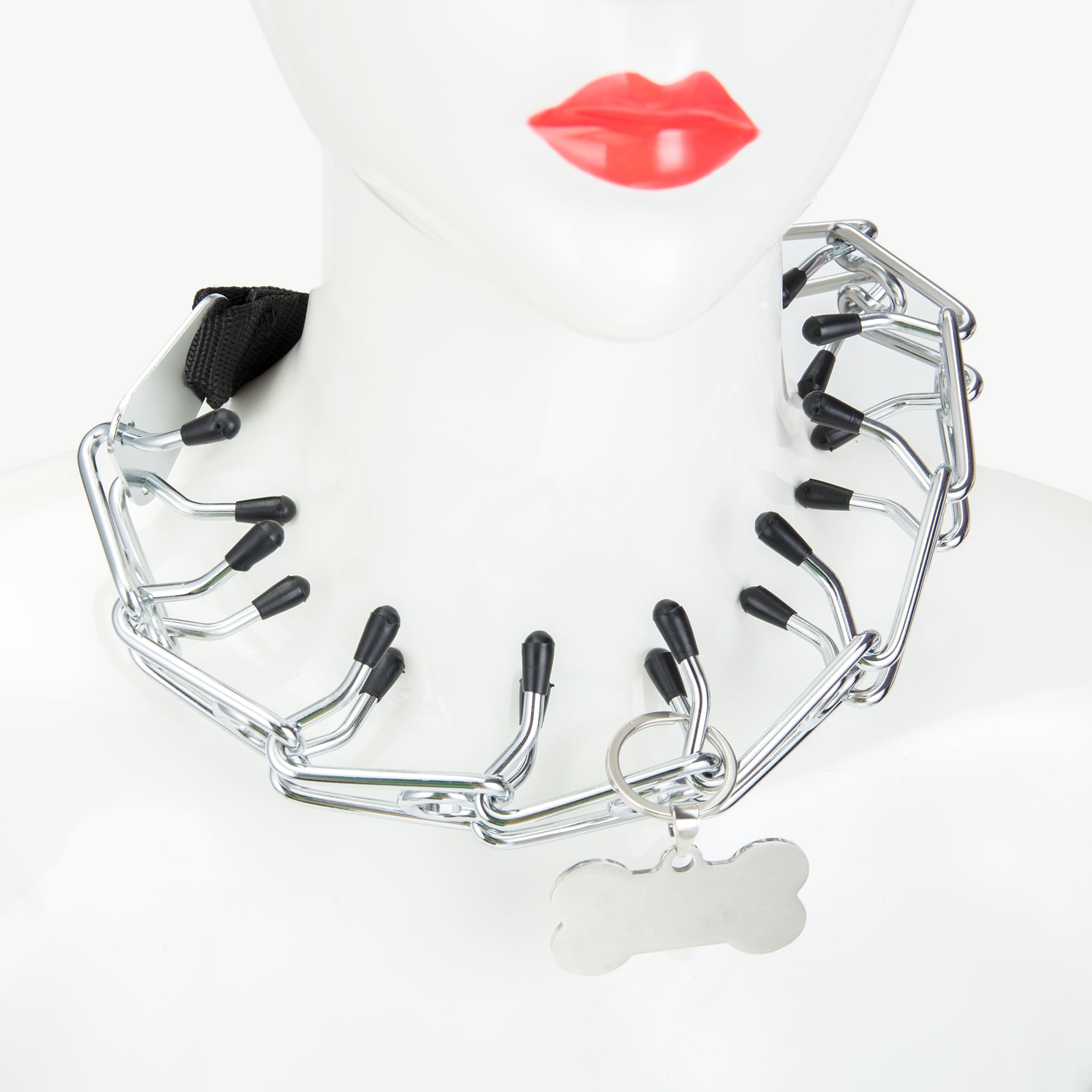 metal prong dog training collar