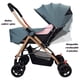 thumbnail image 2 of Carriola Reversible The Baby Shop Asiento Reclinable 3 Posiciones, Plegable y Ligera de Viaje Rosa, 2 of 8