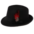 thumbnail image 1 of Wool Felt Hat with Feather, Hat, Magician Hat, Fancy Dress Accessory , Black, as described, 1 of 8
