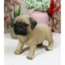 Ebros Realistic Adorable Fawn Pug Puppy Dog Figurine 5"L Pet Pal Pugsy