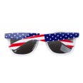 thumbnail image 2 of Gafas de sol Gravity Shades temáticas de EE.UU., 2 of 2